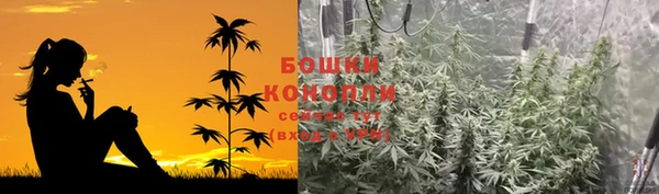 соль ск Сосновый Бор