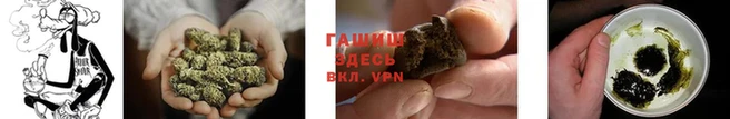 сатива Струнино