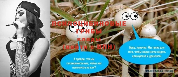 прущая мука Очёр