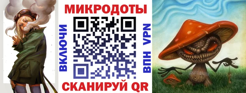 купить  цена  Сыктывкар  Галлюциногенные грибы Psilocybe 