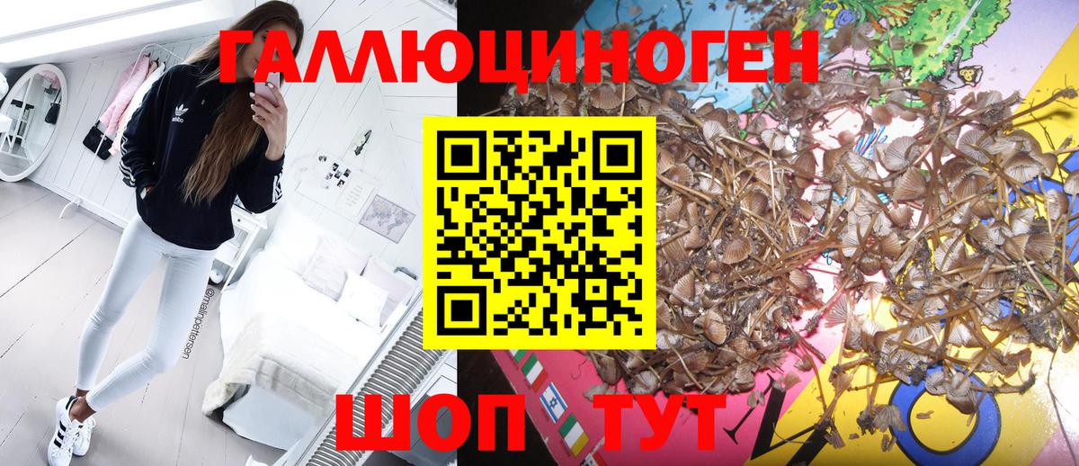 Галлюциногенные грибы Psilocybine cubensis  Вход с VPN  как найти   Сыктывкар 