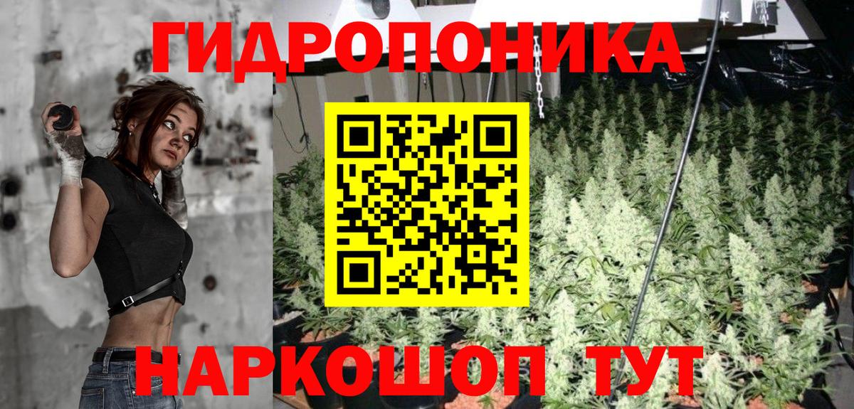 МАРИХУАНА марихуана  Вход с VPN  Сыктывкар  Шишки марихуана планчик  Марихуана AK-47 